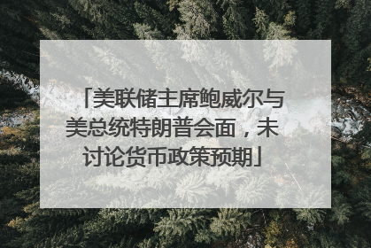 美联储主席鲍威尔与美总统特朗普会面，未讨论货币政策预期