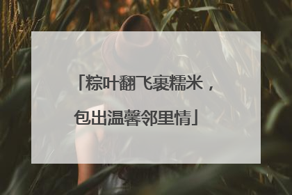 粽叶翻飞裹糯米，包出温馨邻里情