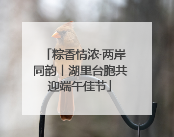 粽香情浓·两岸同韵丨湖里台胞共迎端午佳节