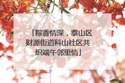 粽香情深，泰山区财源街道科山社区共织端午邻里情