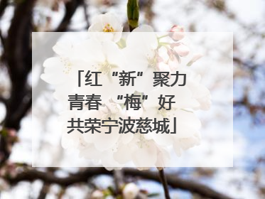 红“新”聚力青春 “梅”好共荣宁波慈城