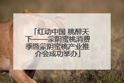 红动中国 桃醉天下——蒙阴蜜桃消费季暨蒙阴蜜桃产业推介会成功举办