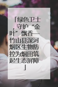 绿色卫士，守护“金叶”飘香—竹山县深河烟区生物防控为烟田筑起生态屏障