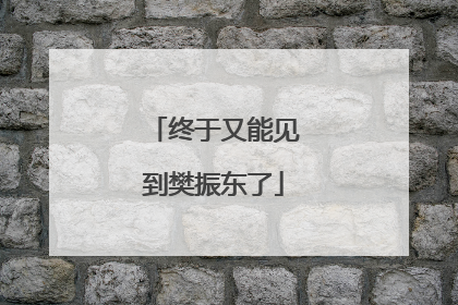 终于又能见到樊振东了