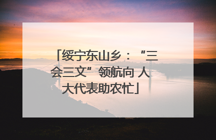 绥宁东山乡：“三会三文”领航向 人大代表助农忙