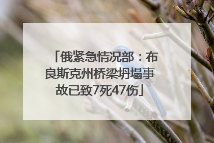 俄紧急情况部：布良斯克州桥梁坍塌事故已致7死47伤