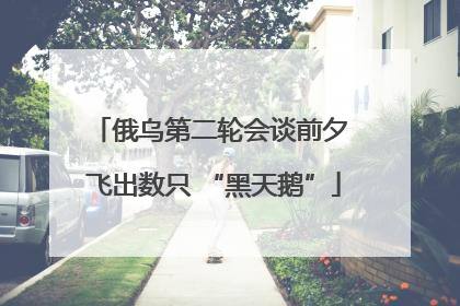 俄乌第二轮会谈前夕 飞出数只 “黑天鹅”