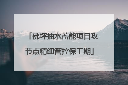 佛坪抽水蓄能项目攻节点精细管控保工期