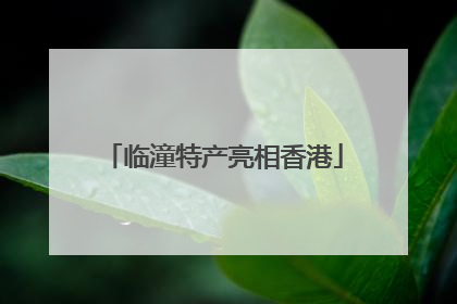 临潼特产亮相香港
