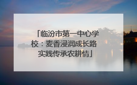 临汾市第一中心学校：麦香浸润成长路 实践传承农耕情