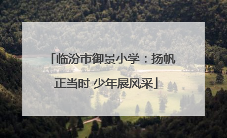 临汾市御景小学：扬帆正当时 少年展风采