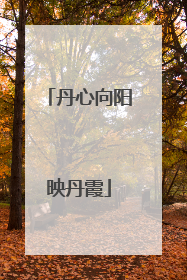 丹心向阳映丹霞
