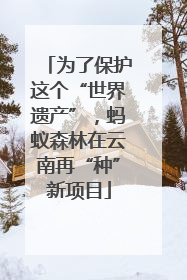 为了保护这个“世界遗产”，蚂蚁森林在云南再“种”新项目