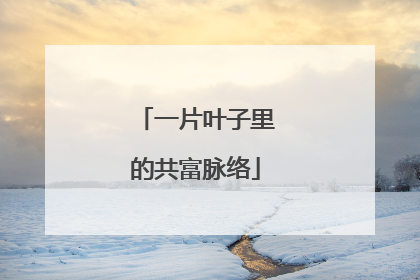 一片叶子里的共富脉络