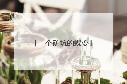 一个矿坑的蝶变