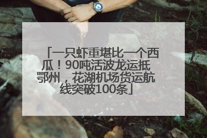一只虾重堪比一个西瓜！90吨活波龙运抵鄂州，花湖机场货运航线突破100条
