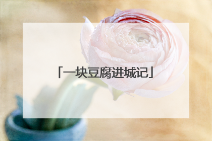 一块豆腐进城记