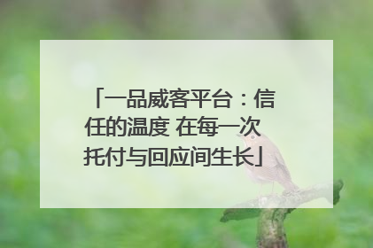 一品威客平台：信任的温度 在每一次托付与回应间生长
