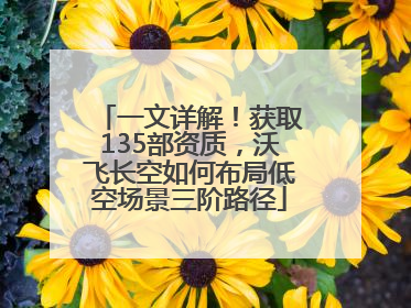 一文详解！获取135部资质，沃飞长空如何布局低空场景三阶路径