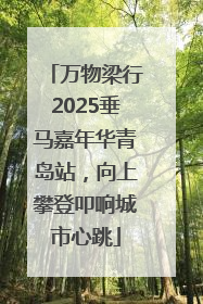 万物梁行2025垂马嘉年华青岛站，向上攀登叩响城市心跳