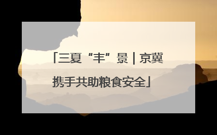 三夏“丰”景｜京冀携手共助粮食安全