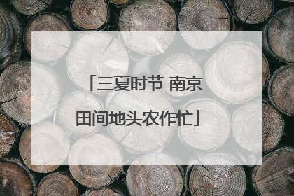 三夏时节 南京田间地头农作忙