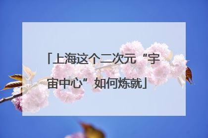 上海这个二次元“宇宙中心”如何炼就