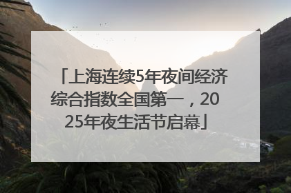 上海连续5年夜间经济综合指数全国第一，2025年夜生活节启幕