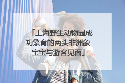 上海野生动物园成功繁育的两头非洲象宝宝与游客见面