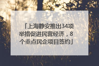 上海静安推出34项举措促进民营经济，8个重点民企项目签约