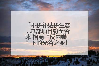 不拼补贴拼生态，总部项目纷至沓来 招商“反内卷”下的光谷之变