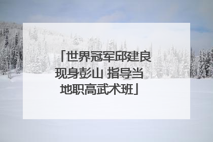 世界冠军邱建良现身彭山 指导当地职高武术班