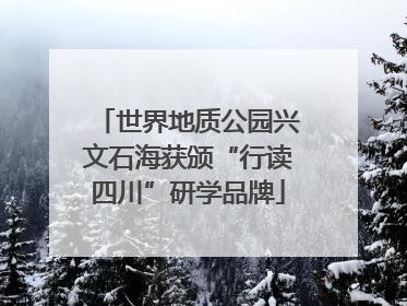 世界地质公园兴文石海获颁“行读四川”研学品牌