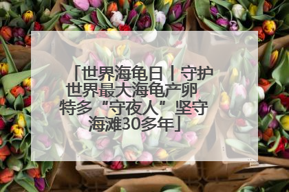 世界海龟日丨守护世界最大海龟产卵 特多“守夜人”坚守海滩30多年