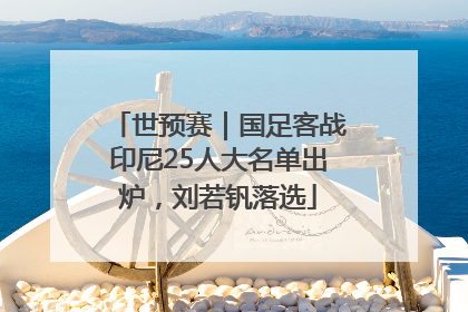世预赛｜国足客战印尼25人大名单出炉，刘若钒落选