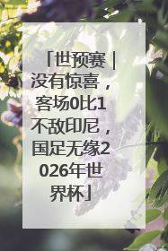 世预赛｜没有惊喜，客场0比1不敌印尼，国足无缘2026年世界杯