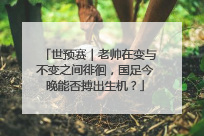 世预赛｜老帅在变与不变之间徘徊，国足今晚能否搏出生机？