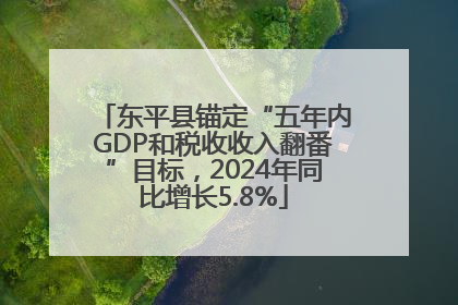 东平县锚定“五年内GDP和税收收入翻番”目标，2024年同比增长5.8%