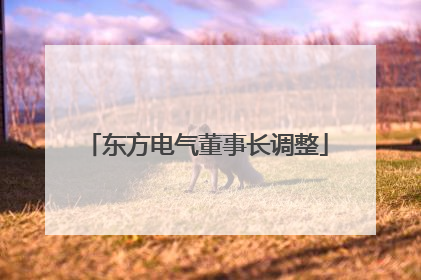 东方电气董事长调整
