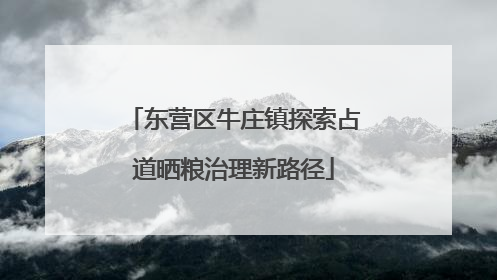 东营区牛庄镇探索占道晒粮治理新路径