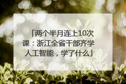 两个半月连上10次课：浙江全省干部齐学人工智能，学了什么