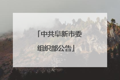 中共阜新市委组织部公告