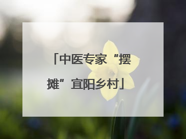 中医专家“摆摊”宜阳乡村