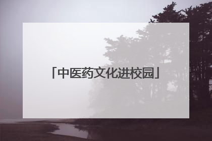 中医药文化进校园