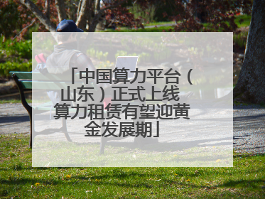 中国算力平台（山东）正式上线 算力租赁有望迎黄金发展期