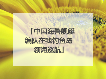 中国海警舰艇编队在我钓鱼岛领海巡航