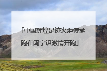中国辉煌足迹火炬传承跑在闽宁镇激情开跑