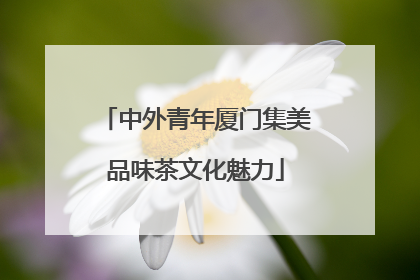 中外青年厦门集美品味茶文化魅力