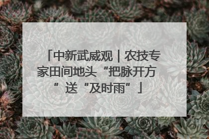 中新武威观｜农技专家田间地头“把脉开方”送“及时雨”