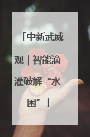 中新武威观｜智能滴灌破解“水困”